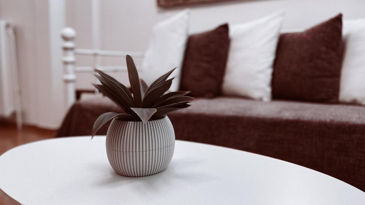 Vintage 2-Bedroom Apt In The Heart Of The City アテネ エクステリア 写真